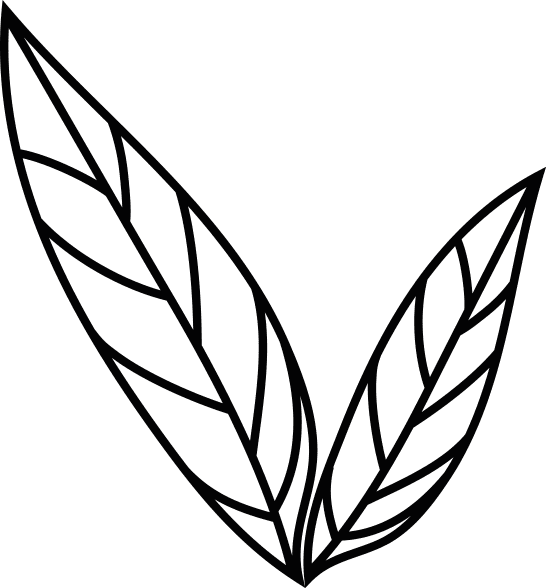 Zwei stilisierte Blätter mit feinen Linien, die übereinander angeordnet sind und eine natürliche Form darstellen.